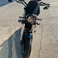 Moto Benelli Leoncino 500
