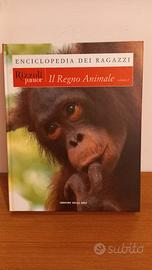 Enciclopedia ragazzi Rizzoli Junior  volumi 6 e 7.