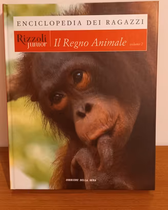 Enciclopedia ragazzi Rizzoli Junior  volumi 6 e 7.