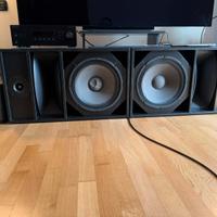 Coppia Casse Passive