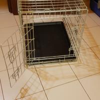 KENNEL PER CANE