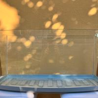 Acquario 60 litri completo + mobile