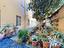 Immagine 15