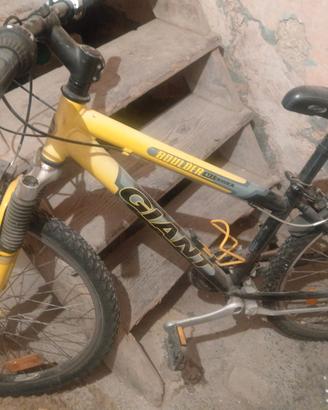 Bici da ragazzo