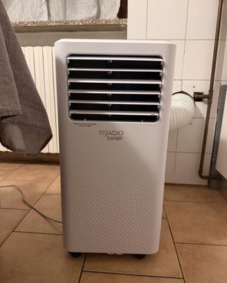 Pinguino Iradio Belair