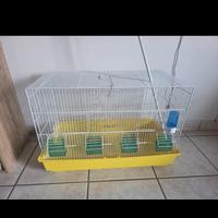 Gabbia cova  da 60 cm