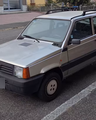 Fiat Panda 1ª serie 900 i.e. cat Young