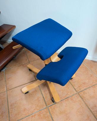 Stokke  Variér Wing Balance