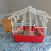 gabbietta per uccelli 