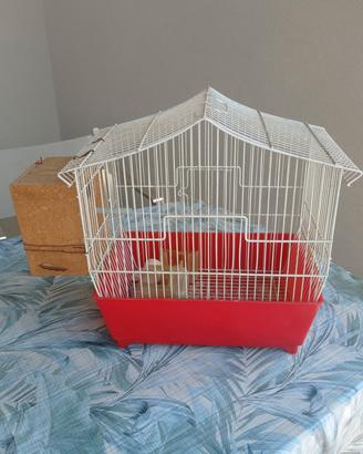 gabbietta per uccelli 