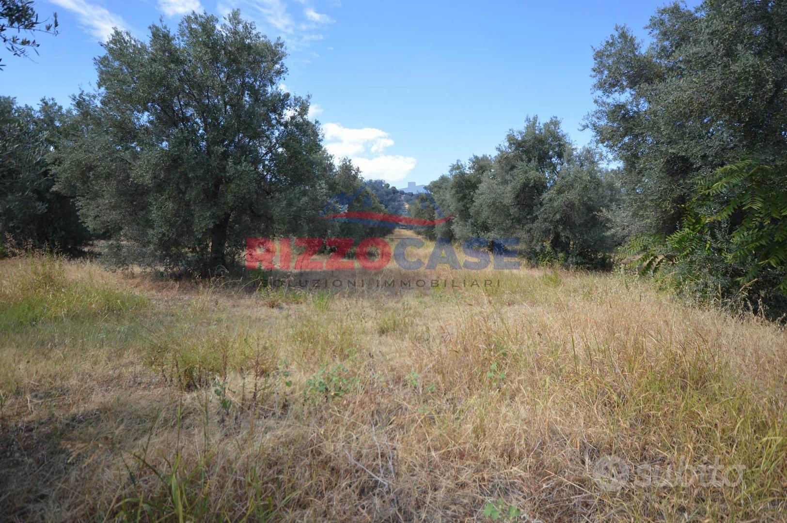 Terreno edificabile - Pietrapaola - Vista 5