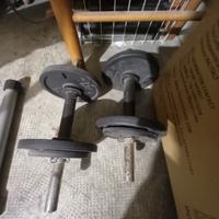 Manubri con 6 kg di pesi ogniuno