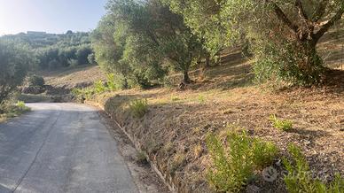 Terreno agricolo in località petrengole