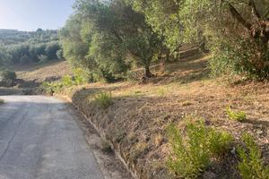 Terreno agricolo in località petrengole