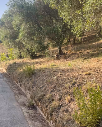 Terreno agricolo in località petrengole