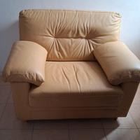 divano e poltrona in pelle