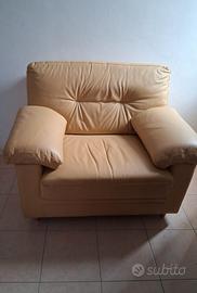 divano e poltrona in pelle