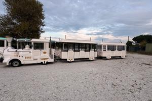 Trenino Turistico Dott