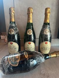 giulio ferrari da collezione vino pregiato