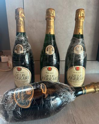 giulio ferrari da collezione vino pregiato
