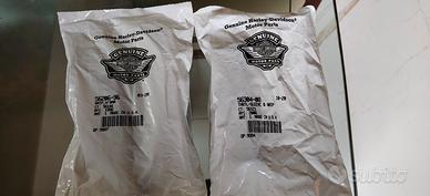 manopole nuove Harley acceleratore elettronico