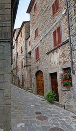 Appartamento - Arcidosso