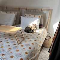 Letto BJÖRKSNÄS con base a doghe