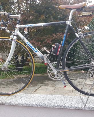 Bici da corsa