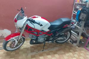 Monster 600 del 2001