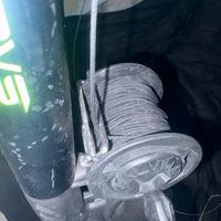 Salvimar predathor  85