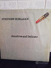 Vinile Stephen Schlaks