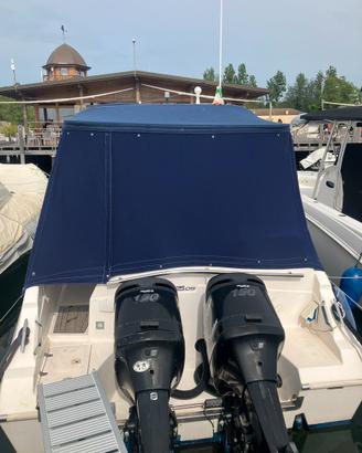 Coppia mercury optimax 150 xl