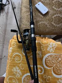 canne da carpfishing