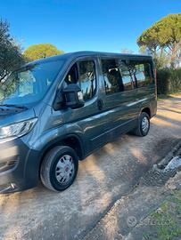 Fiat ducato 9 posti panorama