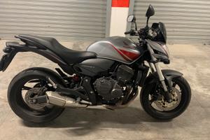 Hornet 600