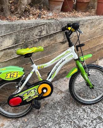 bicicletta Lombardo 14