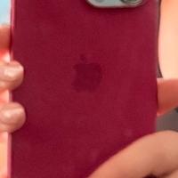 Cover apple originale