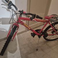 Mountain Bike Ragazzi TEX BIKE ECESSE
