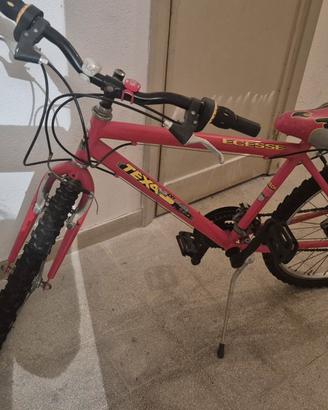 Mountain Bike Ragazzi TEX BIKE ECESSE