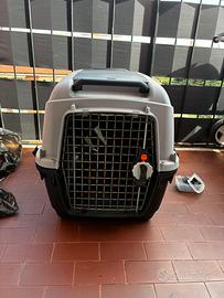 Kennel cane