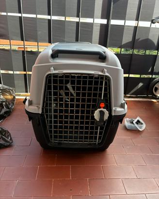 Kennel cane