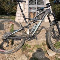 specialized Enduro 29 S-works