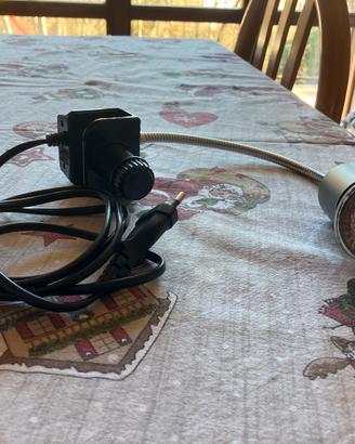 Lampada riscaldante per rettili