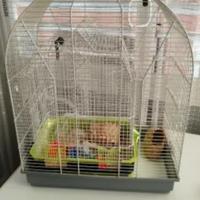 gabbia per uccellini