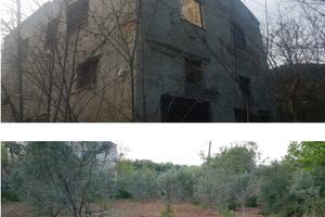 Vendo o in fitto terreno di un ettaro a Cirò