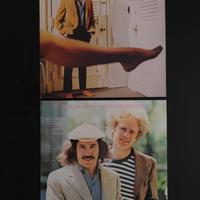 Dischi LP Samuel and Garfunkel 
