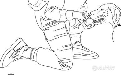 Cucciola di bracco pointer da tartufo