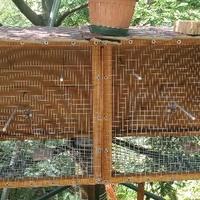 VOLIERA 2mt x 1mt NUOVISSIMA FATTA A MANO