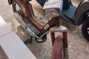 boxer paggio 