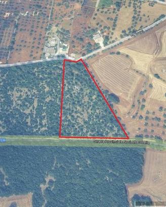 Terreno di 10000 m² a Alberobello